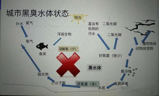 江蘇億元投資治污新技術(shù) 石墨烯能否治理黑臭水體？