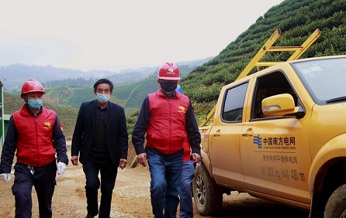 平塘供電局：“加減法”同構(gòu)服務(wù)，護(hù)航“貴州春茶第一壺”