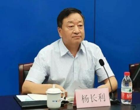 任職總經(jīng)理半年后，楊長利任中廣核董事長