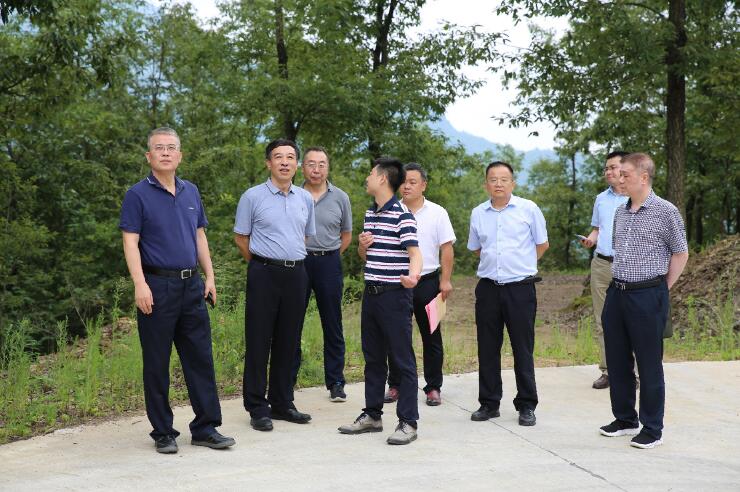 中國能建總經(jīng)理、黨委副書記孫洪水一行赴陜西鎮(zhèn)巴縣調(diào)研定點(diǎn)扶貧工作