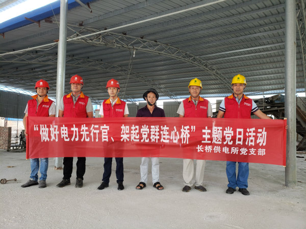 國(guó)網(wǎng)廣昌縣供電公司：開展“做好電力先行官、架起黨群連心橋”主題黨日活動(dòng)