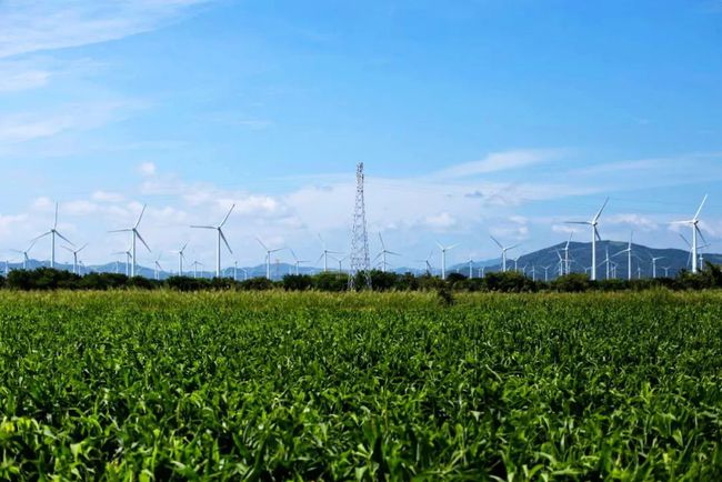 收購(gòu)墨西哥818MW光伏電站，國(guó)家電投境外光伏電站裝機(jī)超6GW
