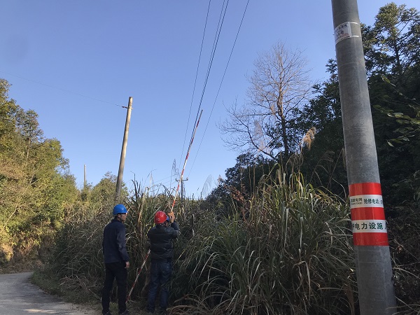 國網(wǎng)南豐縣供電公司：為電桿穿上“防撞衣”，確保交通安全