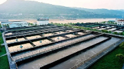 不用燒、不用填 生物處理技術(shù)出手，垃圾成資源