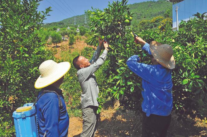 王國洲：把村事當家事，把村民當親人