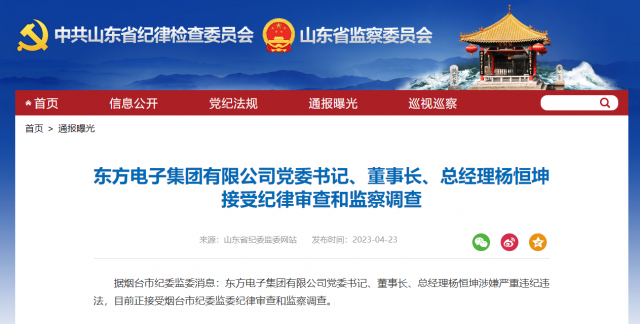 東方電子集團(tuán)有限公司黨委書記、董事長(zhǎng)、總經(jīng)理?xiàng)詈憷け徊椋? width=