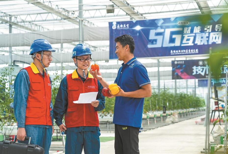 浙江桐鄉(xiāng)市供電公司黨委深入實施“旗幟領(lǐng)航”黨建工程服務(wù)地方經(jīng)濟(jì)社會發(fā)展