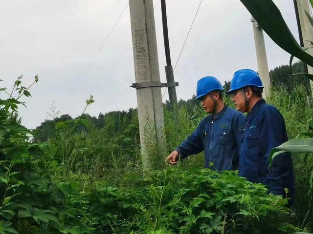 國網(wǎng)長春供電公司積極應(yīng)對極端天氣，確保線路設(shè)備穩(wěn)定運(yùn)行