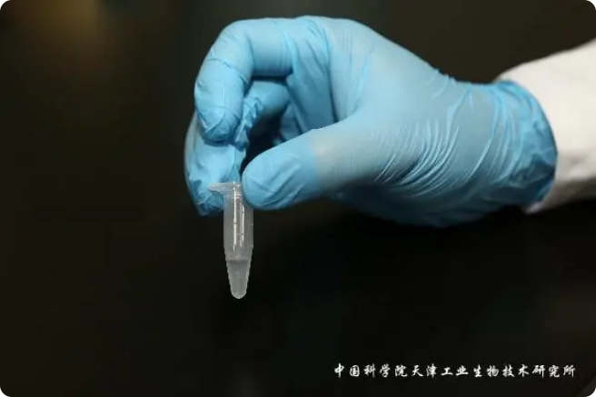 二氧化碳“變身”糖，中國科學家實現(xiàn)重大突破!