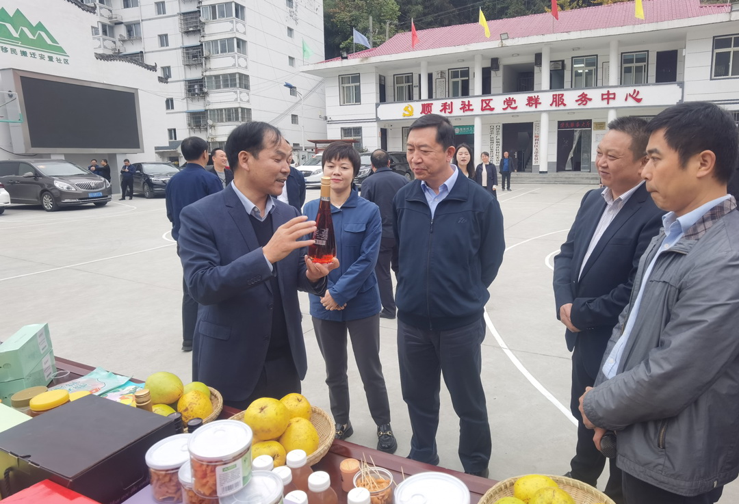 中核集團總經(jīng)理、黨組副書記顧軍赴陜西白河、旬陽調(diào)研鄉(xiāng)村振興工作