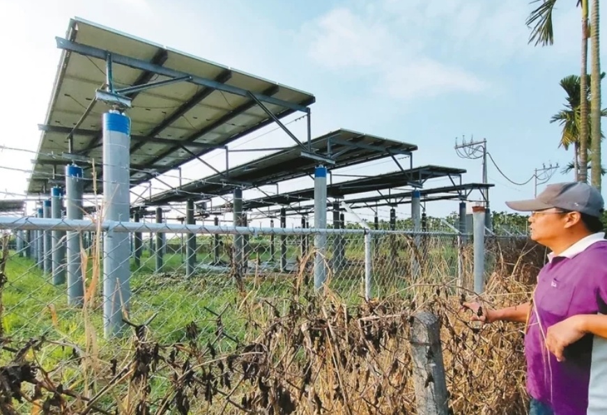 臺(tái)媒：農(nóng)田“種電”讓農(nóng)民苦不堪言，島內(nèi)面臨農(nóng)電兩失困境