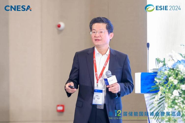 林澤波：儲能企業(yè)出海不是價格競爭，而是以定制優(yōu)質(zhì)產(chǎn)品和服務(wù)實(shí)現(xiàn)可持續(xù)發(fā)展