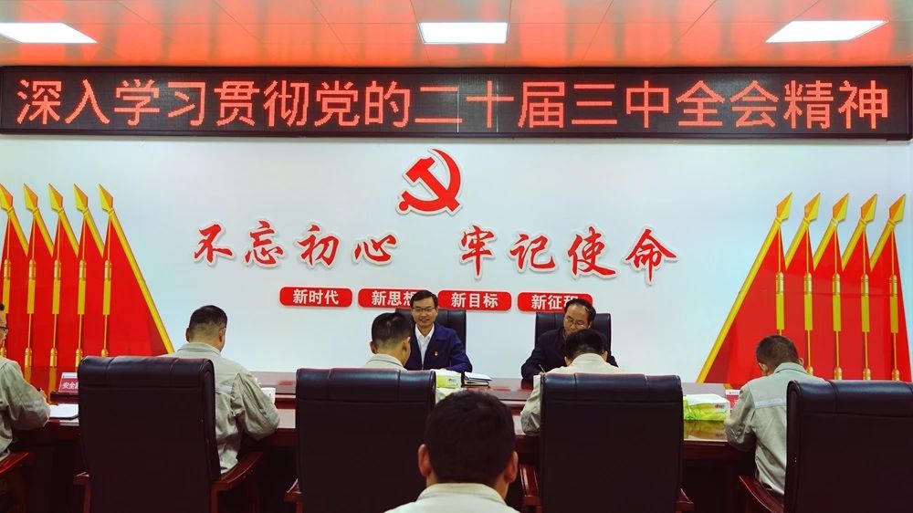 深入學(xué)習貫徹黨的二十屆三中全會精神? 大唐四川公司領(lǐng)導(dǎo)班子成員赴黨建聯(lián)系點講授專題黨課