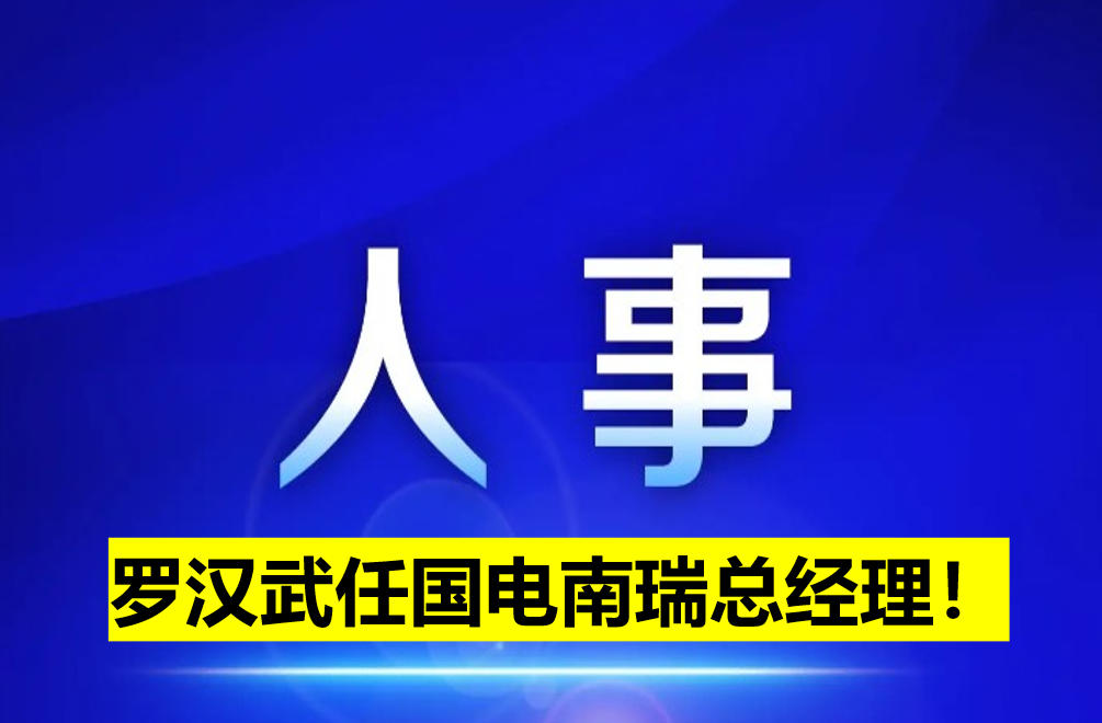 羅漢武任國(guó)電南瑞總經(jīng)理！